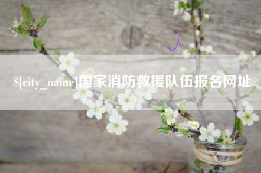 西安国家消防救援队伍报名网址