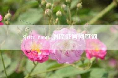 西安消控证官网查询
