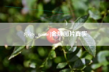 西安金牌图片真实