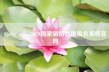 西安2020国家消防救援报名系统官网