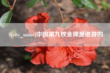西安中国第九枚金牌是谁得的