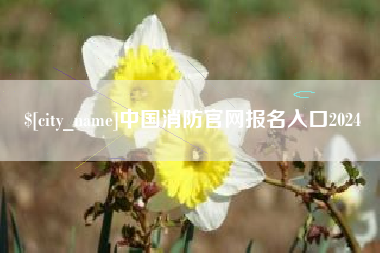 西安中国消防官网报名入口2024