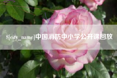 西安中国消防中小学公开课回放