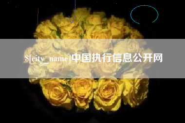西安中国执行信息公开网