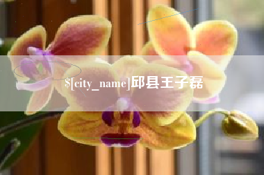 西安邱县王子磊