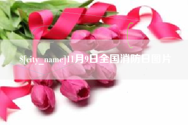 西安11月9日全国消防日图片