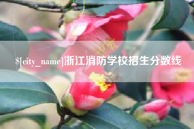西安浙江消防学校招生分数线