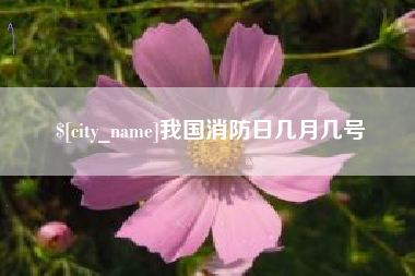 西安我国消防日几月几号