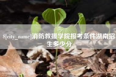 西安消防救援学院报考条件湖南招生多少分