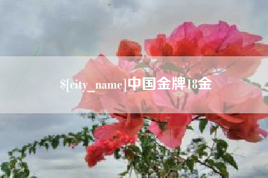 西安中国金牌18金