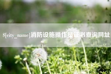 西安消防设施操作员证书查询网址