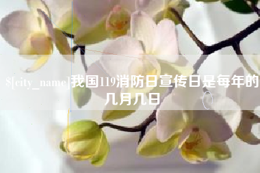 西安我国119消防日宣传日是每年的几月几日