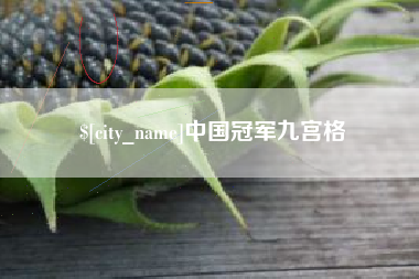 西安中国冠军九宫格