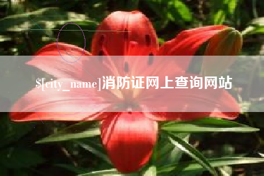 西安消防证网上查询网站