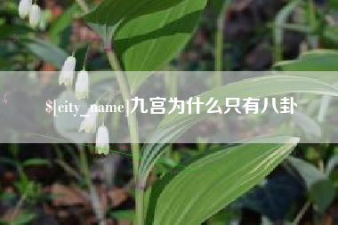 西安九宫为什么只有八卦