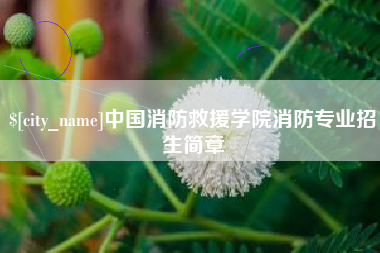 西安中国消防救援学院消防专业招生简章
