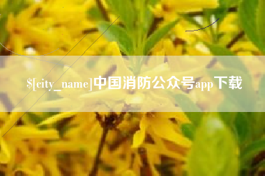 西安中国消防公众号app下载