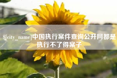 西安中国执行案件查询公开网都是执行不了得案子