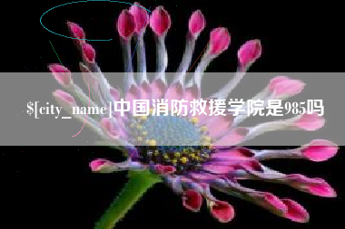 西安中国消防救援学院是985吗