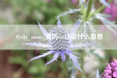 西安消防ccc认证什么意思