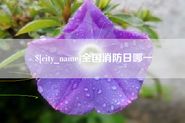 西安全国消防日哪一