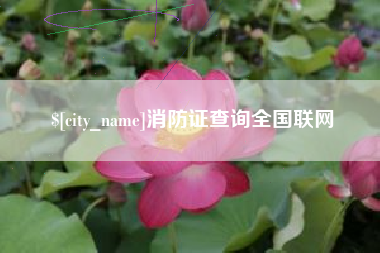 西安消防证查询全国联网