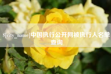 西安中国执行公开网被执行人名单查询