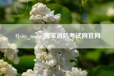 西安国家消防考试网官网