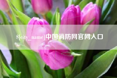 西安中国消防网官网入口