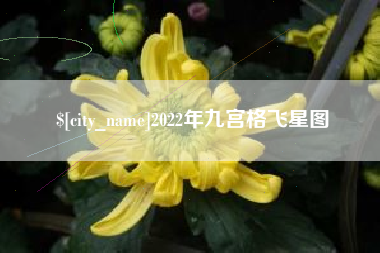 西安2022年九宫格飞星图