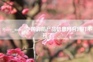 西安中国消防产品信息网官网打不开了