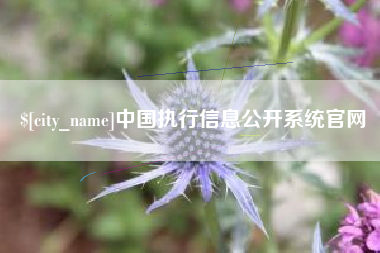 西安中国执行信息公开系统官网