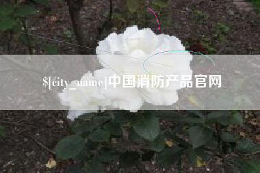西安中国消防产品官网