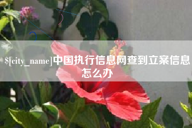 西安中国执行信息网查到立案信息怎么办