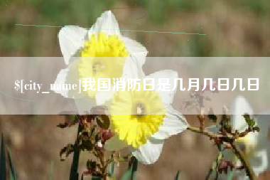 西安我国消防日是几月几日几日