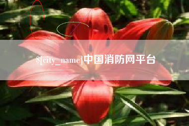 西安中国消防网平台