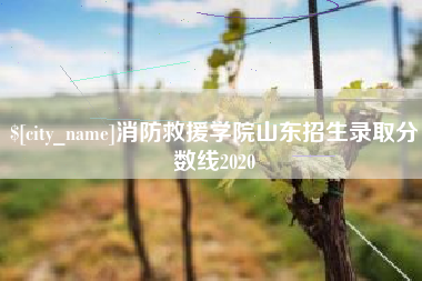 西安消防救援学院山东招生录取分数线2020