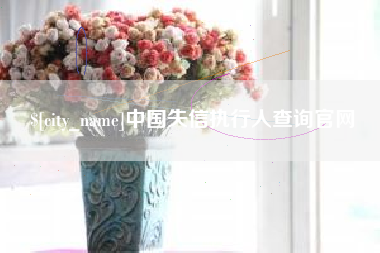 西安中国失信执行人查询官网