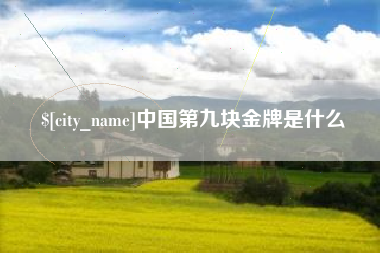 西安中国第九块金牌是什么