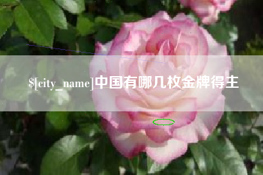 西安中国有哪几枚金牌得主