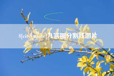 西安九宫图分割线图片