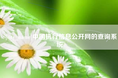 西安中国执行信息公开网的查询系统