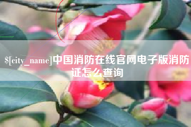 西安中国消防在线官网电子版消防证怎么查询