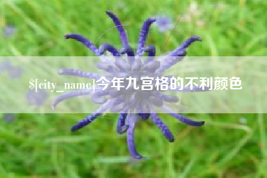 西安今年九宫格的不利颜色