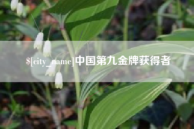 西安中国第九金牌获得者