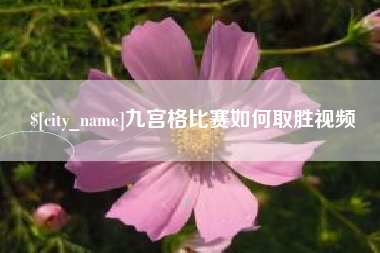 西安九宫格比赛如何取胜视频