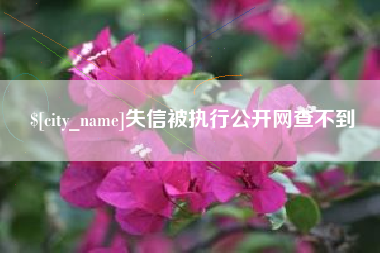 西安失信被执行公开网查不到
