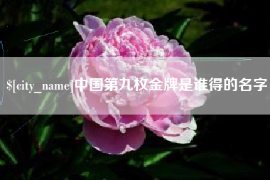 西安中国第九枚金牌是谁得的名字
