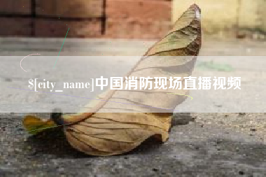 西安中国消防现场直播视频