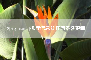 西安执行信息公开网多久更新